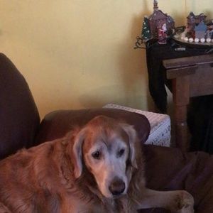 Meet your Posher, Casey